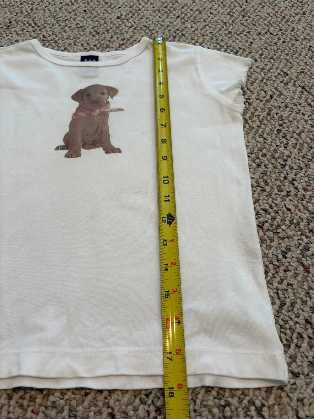 GAP classic crewneck